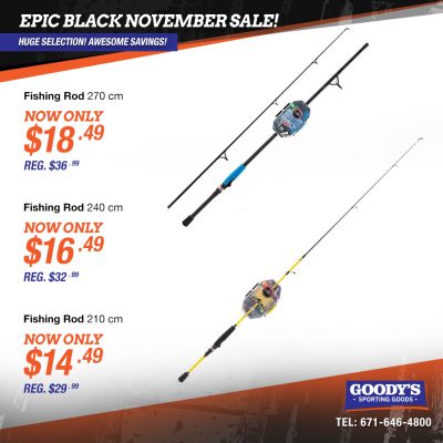 Fishing Rods