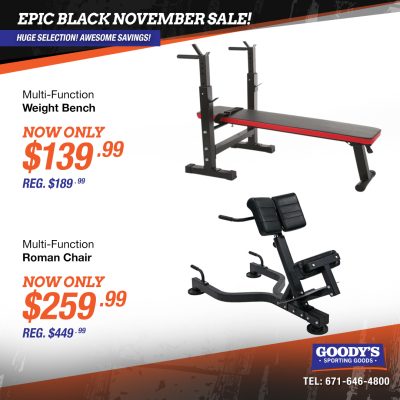 Weight Bench and Roman Chair